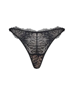 Stringi Celeste Esotiq