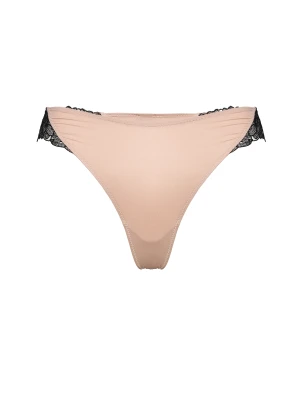 Stringi Century Esotiq