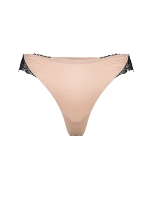 Stringi Century Esotiq