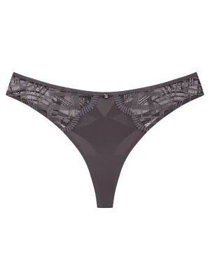 Stringi Intro Esotiq