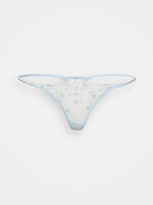 Stringi KIKI DE MONTPARNASSE