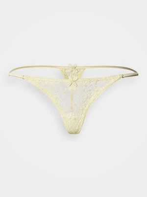 Stringi KIKI DE MONTPARNASSE