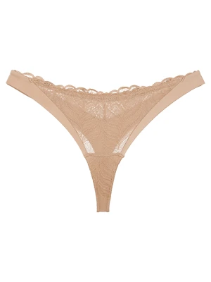 Stringi Korin Esotiq