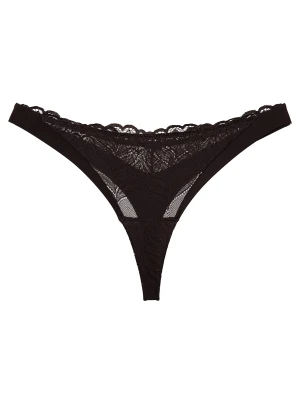 Stringi Korin Esotiq