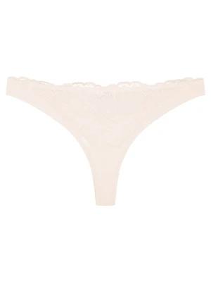 Stringi Korin Esotiq