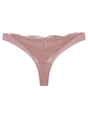 Stringi Korin Esotiq