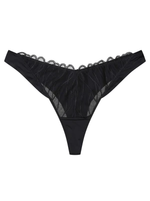 Stringi Olyvia Esotiq