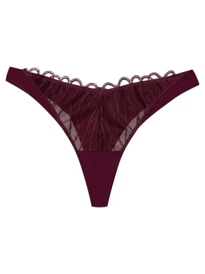 Stringi Olyvia Esotiq