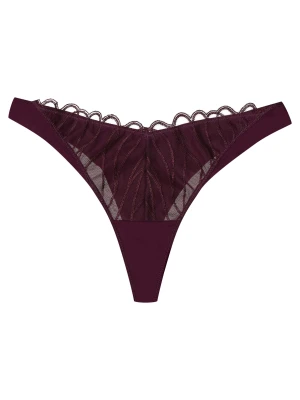 Stringi Olyvia Esotiq