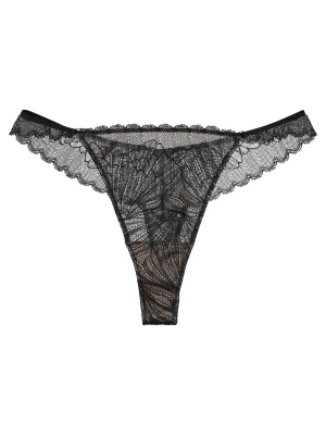Stringi Oprah Esotiq