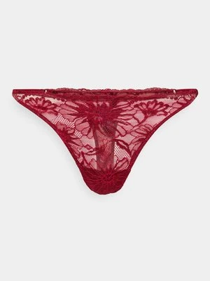 Stringi Tommy Hilfiger