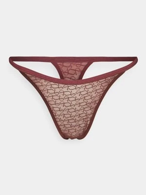 Stringi Triumph