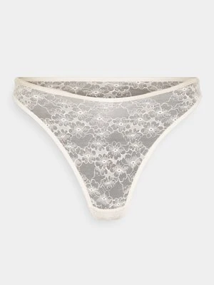 Stringi Triumph