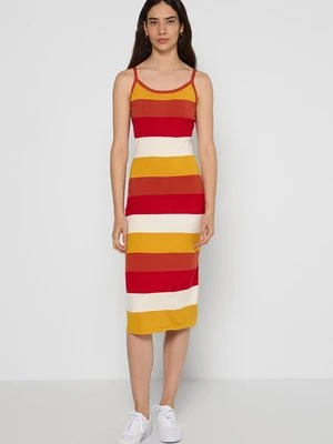 Sukienka dzianinowa Apricot