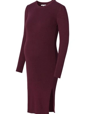 Sukienka dzianinowa Noppies