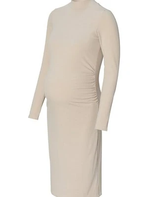 Sukienka dzianinowa Noppies