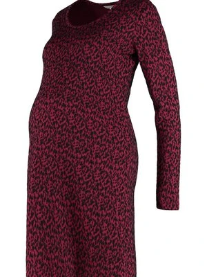 Sukienka dzianinowa Noppies