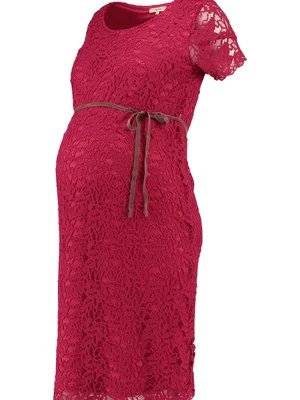 Sukienka etui Noppies