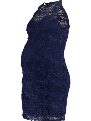 Sukienka etui Topshop Maternity