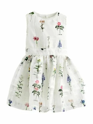 Sukienka koktajlowa Baker by Ted Baker