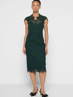 Sukienka koktajlowa IVY OAK