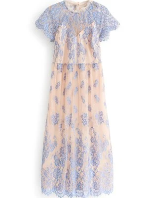 Sukienka koktajlowa Next