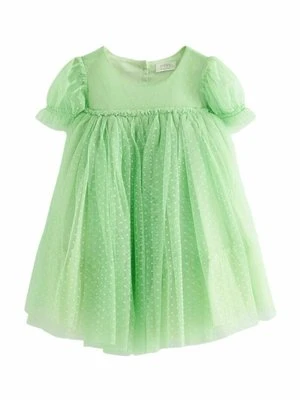 Sukienka koktajlowa Next