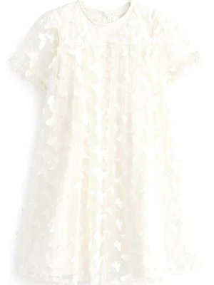 Sukienka koktajlowa Next