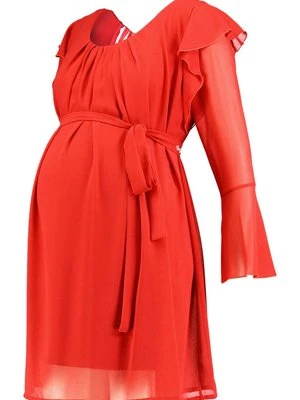 Sukienka koktajlowa Sara'