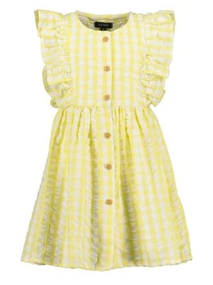 Sukienka koszulowa BLUE SEVEN