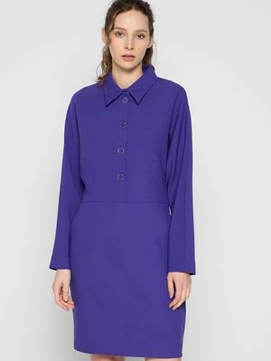 Sukienka koszulowa Dante6