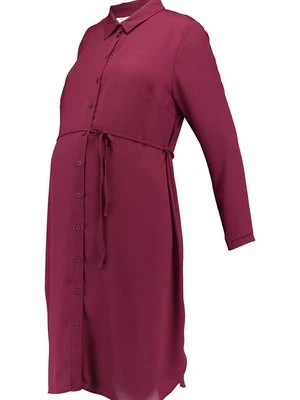 Sukienka koszulowa Dorothy Perkins Maternity