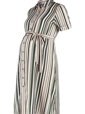 Sukienka koszulowa Dorothy Perkins Maternity
