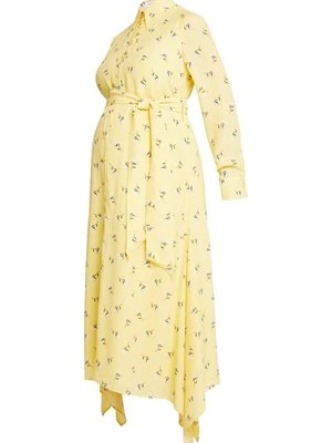 Sukienka koszulowa IVY OAK Maternity