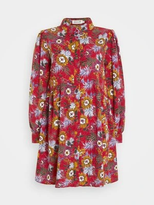 Sukienka koszulowa Molly Bracken