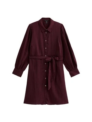 Sukienka koszulowa New Look Curves