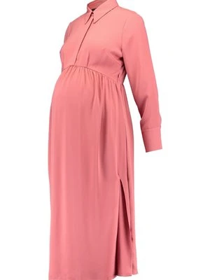 Sukienka koszulowa Topshop Maternity