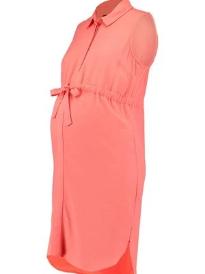 Sukienka koszulowa Topshop Maternity