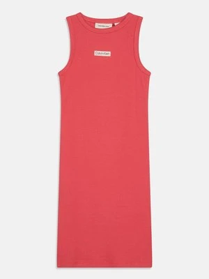 Sukienka letnia Calvin Klein Jeans
