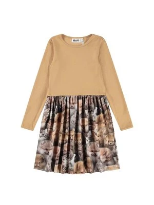 Sukienka letnia Molo