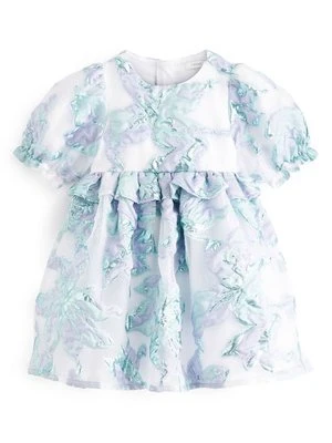 Sukienka letnia Next