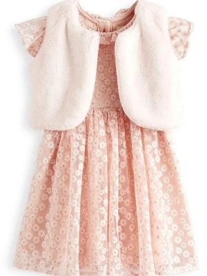 Sukienka letnia Next