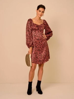 Sukienka letnia Next