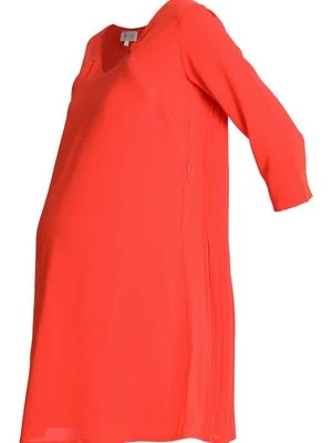 Sukienka letnia Pomkin