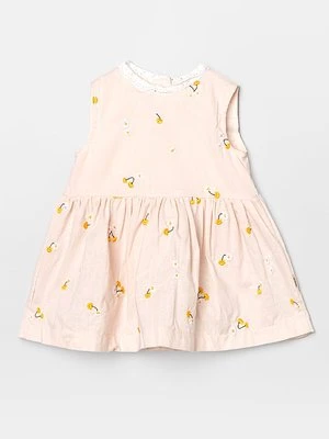 Sukienka letnia Wheat