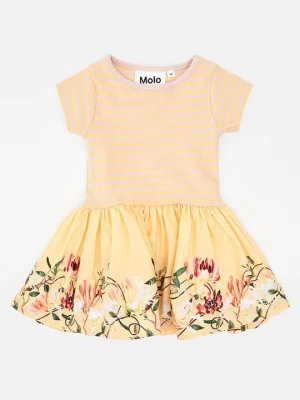 Sukienka T-shirt Molo