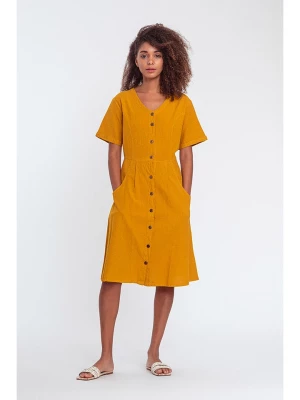 Makani Sukienka w kolorze żółtym rozmiar: 36