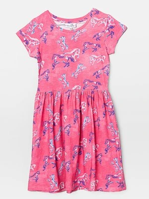 Sukienka z dżerseju happy girls