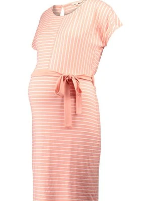 Sukienka z dżerseju Noppies