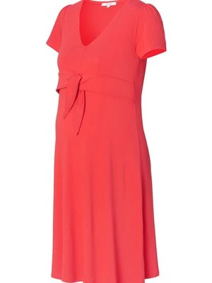 Sukienka z dżerseju Noppies